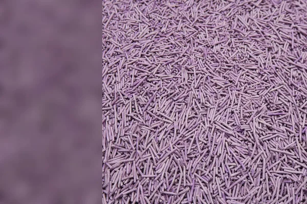 Official Emily pets purple tofu cat litter pellets