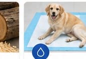 Dog resting on a pet pee pad