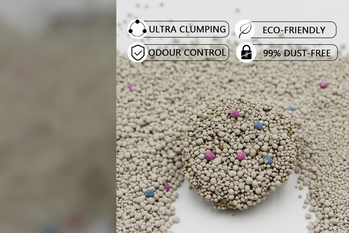 Official Emily pets bentonite cat litter granules and firm clump demonstration